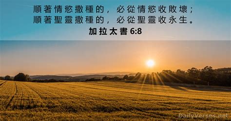 種什麼收什麼|加拉太書 6:8 順著情慾撒種的，必從情慾收敗壞；順著聖靈撒種。